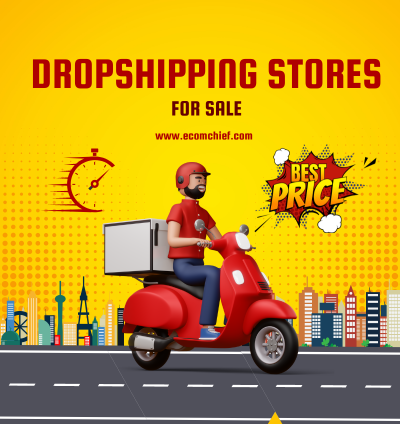Dropshipping Businesses for Sale