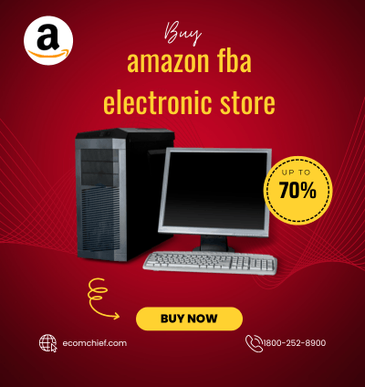 Buy a Profitable Amazon Electronics Business - Start Earning Today