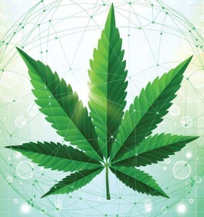 Buy Cannabis News Affiliate Business➡ - Ecom Chief 