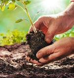 Buy Gardening Affiliate Business➡ - Ecom Chief 